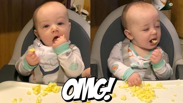 'Baby Led Weaning Eggs! 6 Month Old Eating Scrambled Eggs'