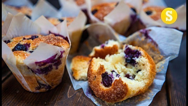 'American Blueberry Muffins'