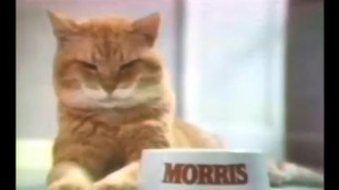 '9-Lives Cat Food \'Morris\' Horoscope\' Commercial (1978)'