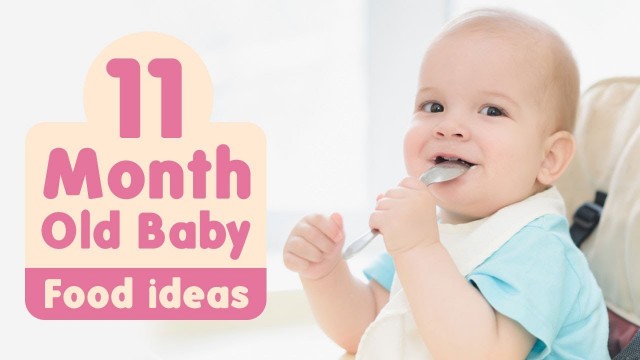 'Food Ideas for 11 Month Old Baby'