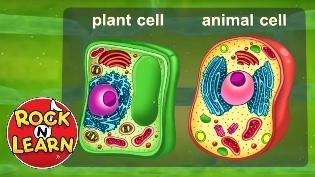 'Life Science for Kids - Photosynthesis, Cells, Food Chains & More'