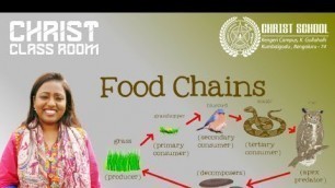 'Christ Class Room|Kindergarten |Foodchains'