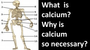 'What  is Calcium? and Why is Calcium so Necessary? | A Calcium-Rich Diet Source | Bone Health |'