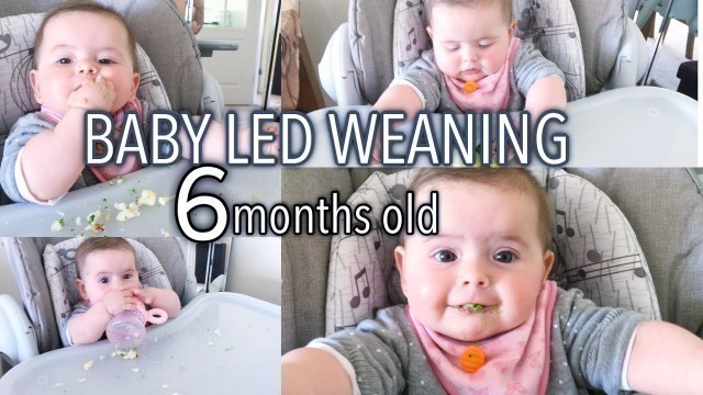 'BABY LED WEANING  - 6 MONTHS OLD - LUNA´S FIRST PROPPER MEAL - SO CUTE'