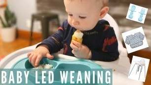 'HOW TO START BABY LED WEANING | BEGINNER FRIENDLY | 6 MONTH OLD STARTING SOLID FOODS'