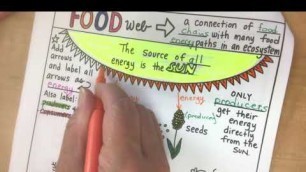 'Food Webs Doodle Notes video'