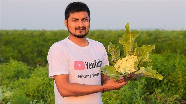 'BBQ Indian Curry with 168 Layered Paratha By Nikunj Vasoya | Indian Village Cooking'