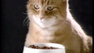 '9 Lives Cat Food Morris 80s Commercial (1988)'