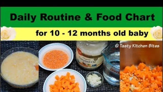 'Daily Routine & Food Chart for 10 - 12 months old baby l Complete Diet Plan & Baby Food Recipes'