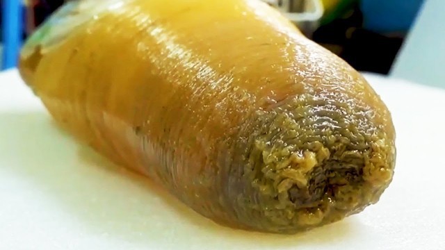 'FLABBY SEA MONSTER! Geoduck Sashimi - Japanese Street Food in Okinawa'