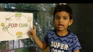 'Food Chain for Kids | Learning Video for Kids | Educational Video for Kids'