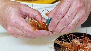 'Japanese Street Food - BLUE EGG SHRIMP Clam Sashimi Hokkaido Seafood Japan'