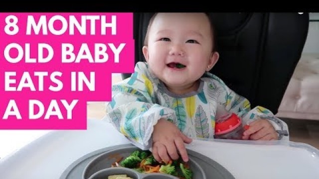 'WHAT MY 8 MONTH OLD BABY EATS IN A DAY  | BABY LED WEANING | INFANTINO SQUEEZE STATION'