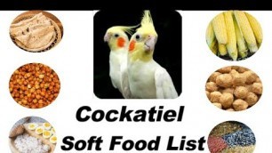 'Cockatiel Parrot Soft Food List || Cockatiels Parrot Soft food'