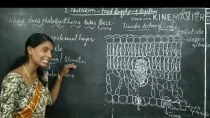 'SSC-N.S.- Nutrition Food Supplying System (part 4)'