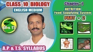 'Nutrition – Food Supplying System (Part-2) || Presence of Starch in Leaves | Starch Test in Leaves||'