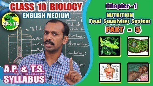 'Nutrition – Food Supplying System (Part-5) || Lab Activity | Hydrilla Leaf Experiment ||'