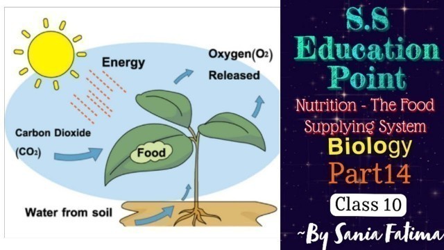 '#Part14 #Nutrition - The Food Supplying System #Class10 #Biology ~By Sania Fatima'