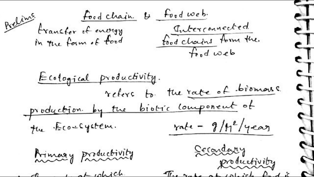 '1;15 EN@VA What is Food Chain & Food Web'