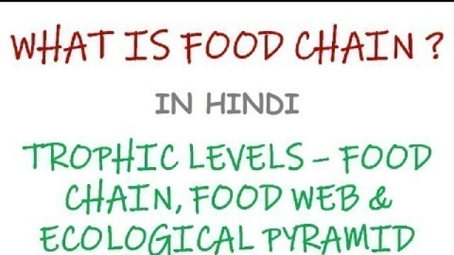 'Understanding Food Chain in Ecology (In Hindi)'