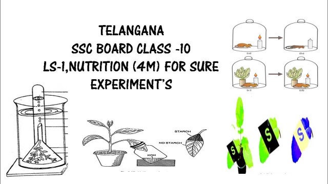 'LS-1 NUTRITION-FOOD SUPPLYING SYSTEM   EXPERMINTS BIOLOGY CLASS-10'