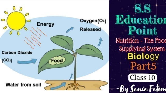 '#Part-5 #Nutrition- The Food Supplying System Class 10th Biology ~By Sania Fatima'