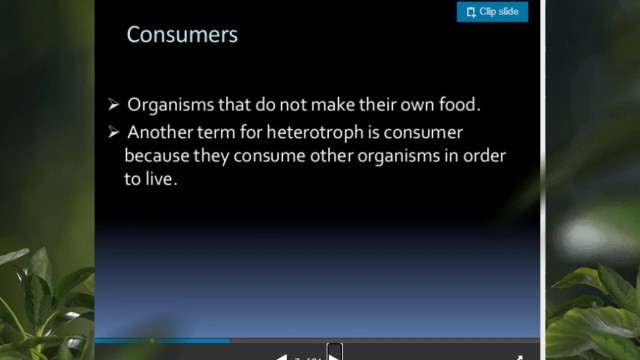 'lesson 5.1 Part 2 Food Chain Food Web- Gr.11&12 Environmental Science by Ms.Suha'