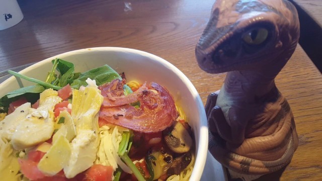 'Bob the Raptor - Food Review - Piada Italian Street Food - Kettering Dayton Ohio'