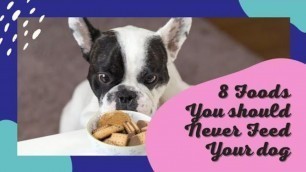 'top list food for dogs - the list 8 foods you should never feed your dog'