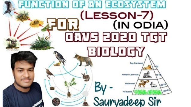 'Function of an Ecosystem (Food chain,Food web, Ecological pyramid) For all Competitive examinations.'