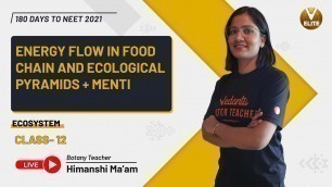 'Ecosystem Class 12- L3 | Energy Flow in Food Chain and Ecological Pyramids + Menti Quiz | Vedantu'