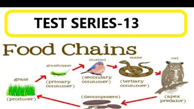 'TEST SERIES -13 || FOOD CHAINS QUESTIONS|| FOOD WEBS QUESTIONS|| MCQs OF FOOD CHAINS & WEBS'