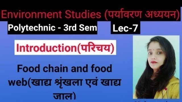 'food chain and food web | खाद्य श्रृंखला तथा खाद्य जाल | Environment studies | Neha ma\'am'