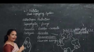 'Nutrition - Food supplying system (Session 4) || Class X || NRCS YANAM || Biology'