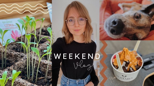 'Lockdown BUCKET LIST & veganes FOOD DIARY am Wochenende | Sustainable Stories VLOG'