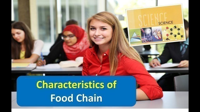 'Characteristics of Food Chain'