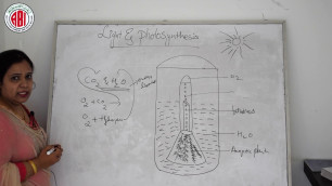 '10th Class_Biology_Chapter 01_Nutrition Food Supplying System_Part 02'