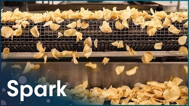 'How Are Potato Chips Made In Factories? | Making Goods | Spark'