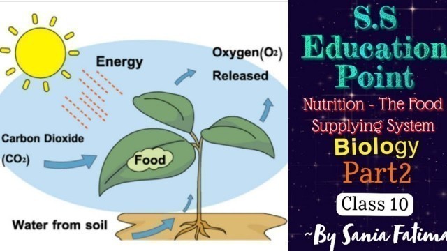 '#Part2#Nutrition - The Food Supplying System #Biology #Class10 ~By Sania Fatima'