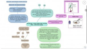 'Nutrition - Food Supplying SYSTEM | MIND MAP METHOD Explanation| పోషణ ౼ ఆహార సరఫరా వ్యవస్థ.'