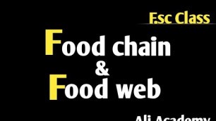 'Food chain and Food Web In ecosystem | Food Chain | Food Web | Food Chain & Food Web class 12th'