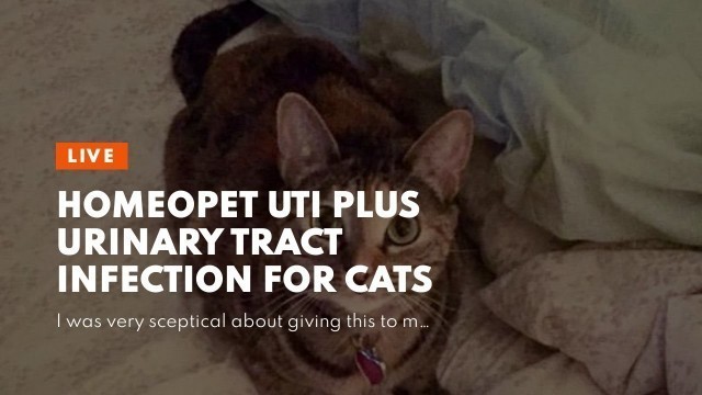 'HomeoPet UTI Plus Urinary Tract Infection for Cats'