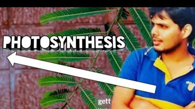 '10class biology English medium||photosynthesis|Nutrition Food supplying system lesson part-2'