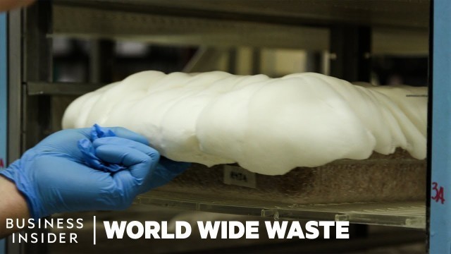 'How Mushrooms Are Turned Into Bacon And Styrofoam | World Wide Waste'