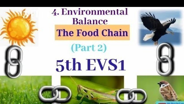 '5th EVS1: 4.Environmental Balance: Food Chain'