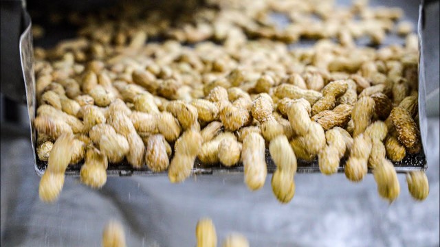 'Food Factories of Lebanon. \"Lebanese Nuts: How It\'s Made\" - Cashews, Peanuts, Cricri...'