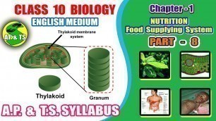 'Nutrition – Food Supplying System (Part-8) || Structure of Chloroplast | T.S. of Chloroplast ||'