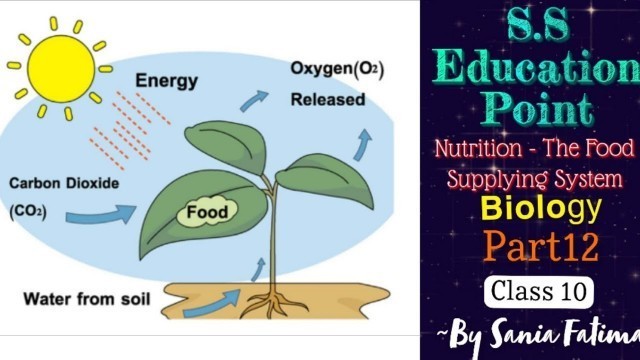 '#Part12 #Nutrition - The Food Supplying System #Class10 #Biology ~By Sania Fatima'