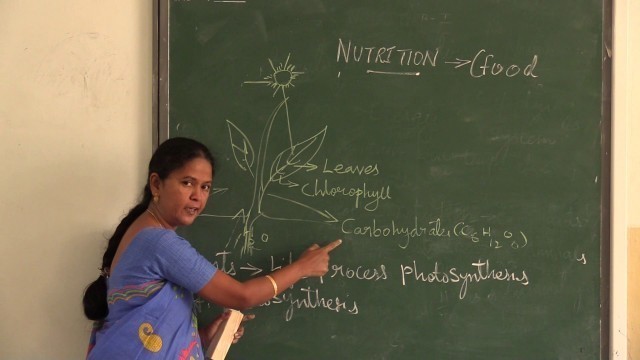 'X CLASS : BIOLOGY -NUTRITION (FOOD SUPPLYING SYSTEM)'