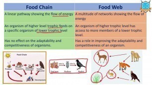 'What is Food Chain vs Food Web? || Food Chain vs Food Web అంటే ఏమిటి? || La Excellence'